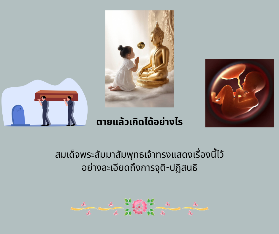 ตายแล้วเกิด.png